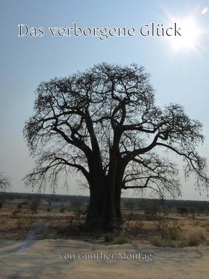 cover image of Das verborgene Glück